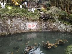 -十八棵（老龙井）御茶园(老龙井店)