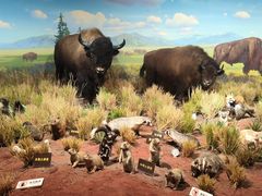 -陕西自然博物馆