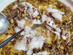 -饭怕鱼(阳光100店)