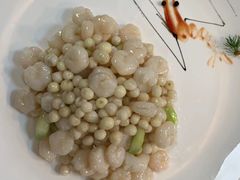 -上海宝华喜来登酒店·采悦轩中餐厅