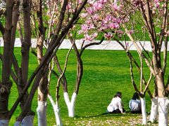 -重庆中央公园(渝北区)