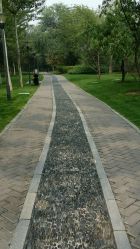 点击看大图 -大望京儿童游乐场