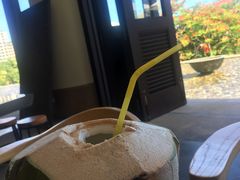 -三亚国光豪生度假酒店-椰语堂(国光豪生店)