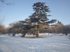 -国家植物园南园