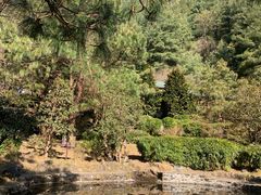 -苍山感通索道