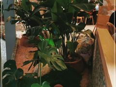 -相遇·鲜炒黄牛肉(丹阳吾悦广场店)