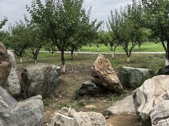 -汉长安城未央宫国家考古遗址公园