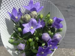 -亭亭鲜花店(中山北路店)