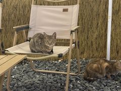 -DGE季风钓虾营地·团建·聚会