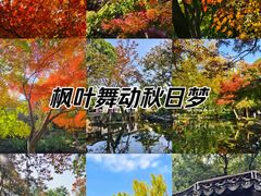 -秋霞圃