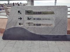 -演武大桥观景平台