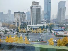 -锦江宾馆-花园餐厅