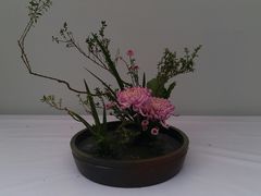 -重庆市江北嘴中央商务区中央公园