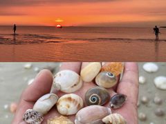 -巧克力渔家.小船海鲜胶东菜(万平口店)