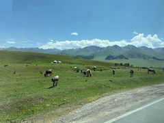 -新疆那拉提国家旅游度假区