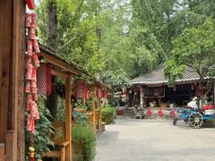 -青城甲(青城山店)