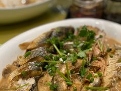 -大清花饺子(五五路店)