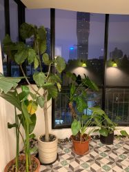 -Fancy梵汐·轻奢量肤定制