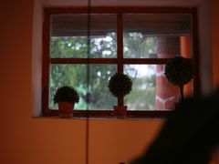 -长颈鹿咖啡(大学路店)