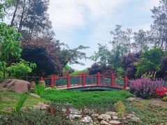 -秀丽东方