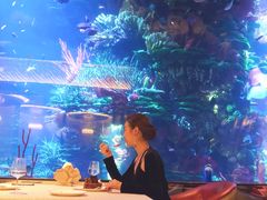 -迪拜帆船酒店海底餐厅