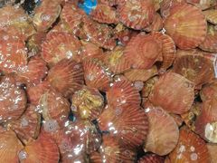 -和源祥·日照菜扛把子(万平口一店)