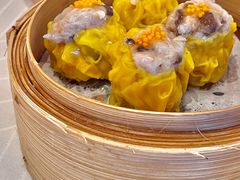 -美心皇宫(屯门大会堂店)