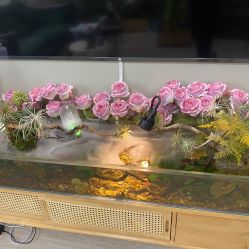 -Lumi露米·美甲美睫品质店