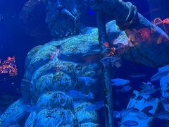 -正佳极地海洋世界
