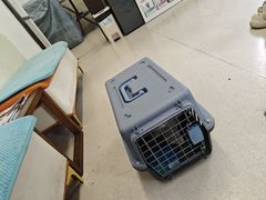 -爱妮康宠物医院·干细胞免疫细胞·肿瘤·心脏(张江店)