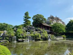-顺峰山公园