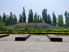 -永定河休闲森林公园