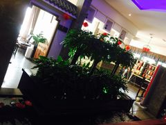-碧露轩·大益茶体验馆(镇江路店)