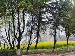 -南京医科大学(江宁校区)