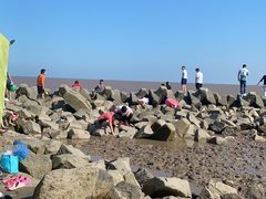 -南汇嘴观海公园