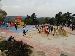 -铁山坪森林公园