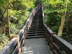 景点-水濂山森林公园