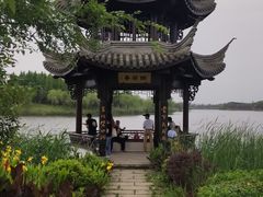 -杭州湾海上花田景区