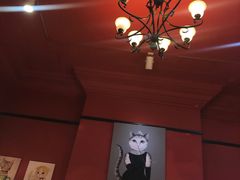 -猫色咖啡·猫咖