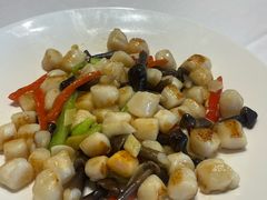 鸡枞菌鲜贝-天福苑(崇宁路店)