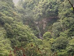 -安吉龙王山风景区