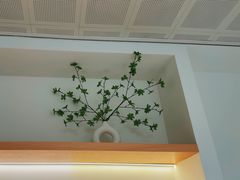 -极简口腔(总院)