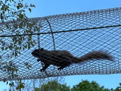 -哈尔滨北方森林动物园