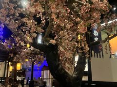 -绿茶餐厅(朝阳大悦城店)