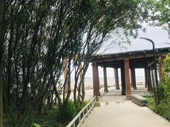 -吴淞炮台湾湿地森林公园烧烤区