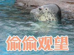 -海合安成都极地海洋公园