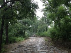 景点-阳台山自然风景区