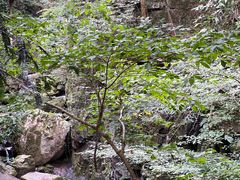 -藏龙百瀑风景区