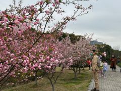 -白塘生态植物园