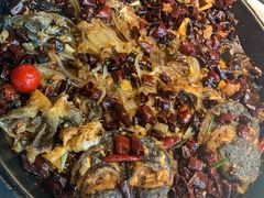 -老板恋上鱼(恒隆广场店)